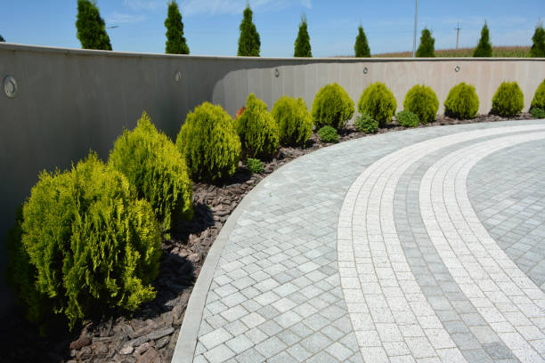 Best Professional Driveway Pavers  in Lebanon, VA